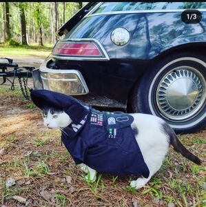 Darth Vader pet costume